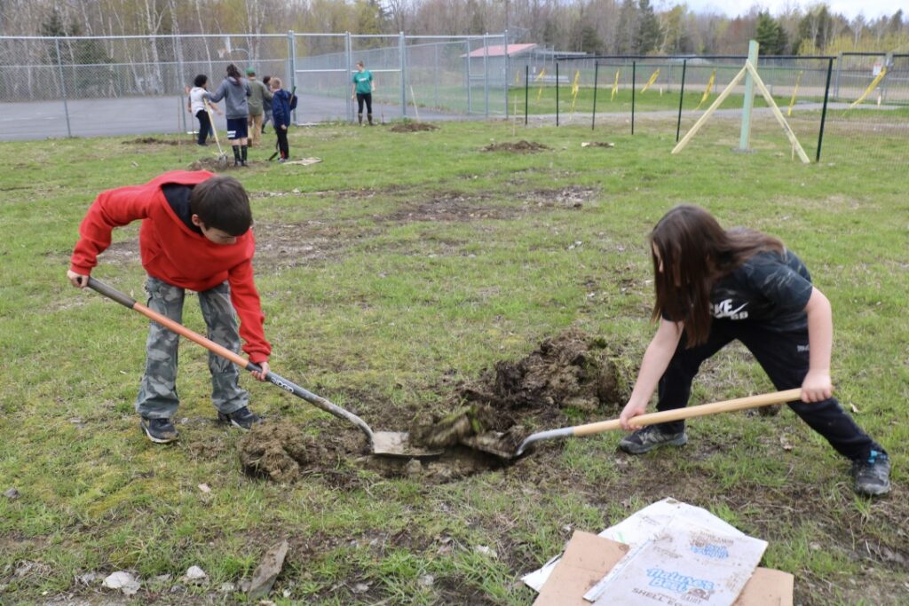 Students work to plant trees in the school orchard.