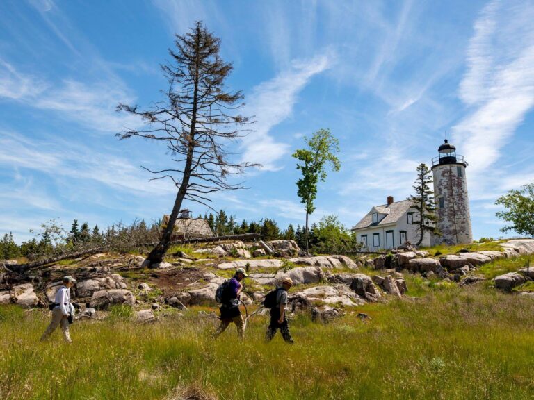 A ranger guided cruise to Baker Island in Acadia National Park ME on June 20 2018. Photo Will NewtonFriends of AcadiaNPS  768x576