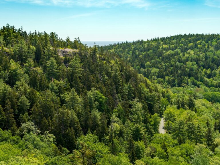 The Triad and Day Mountain on Thursday June 27 2019. Photo by Will GreeneFriends of Acadia 768x576