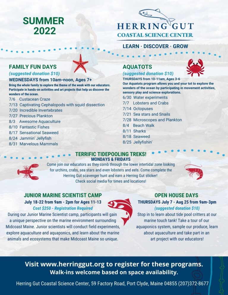 SUMMER PROGRAMS 2022 768x994