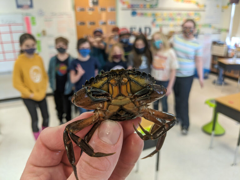 crabclass 768x576