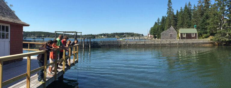 image asset 768x292