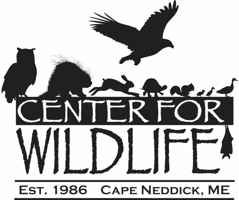 CFW Logo Grouped Vector Black 768x641