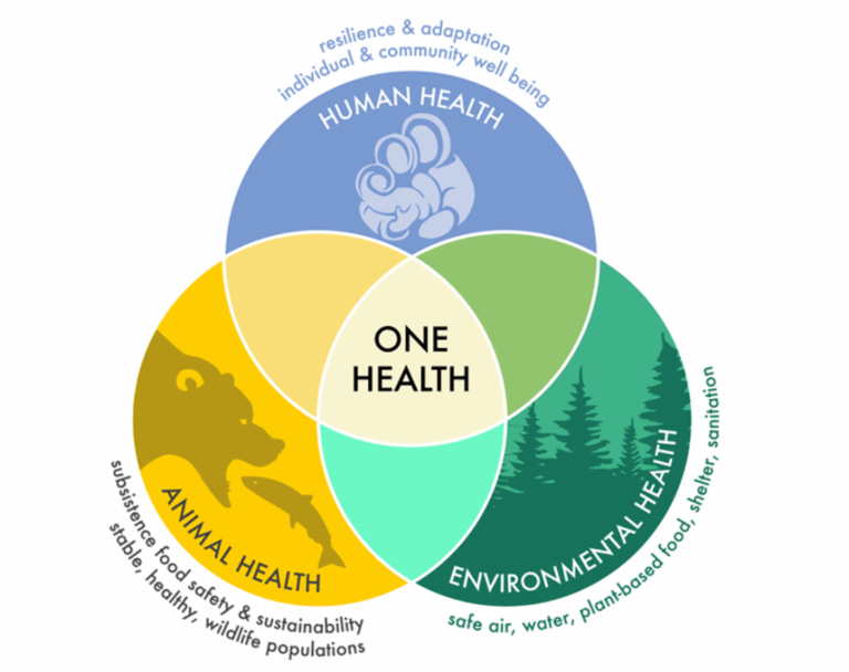 One health diagram 768x608