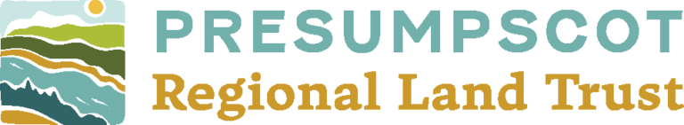 Full Color Primary Logo 768x141